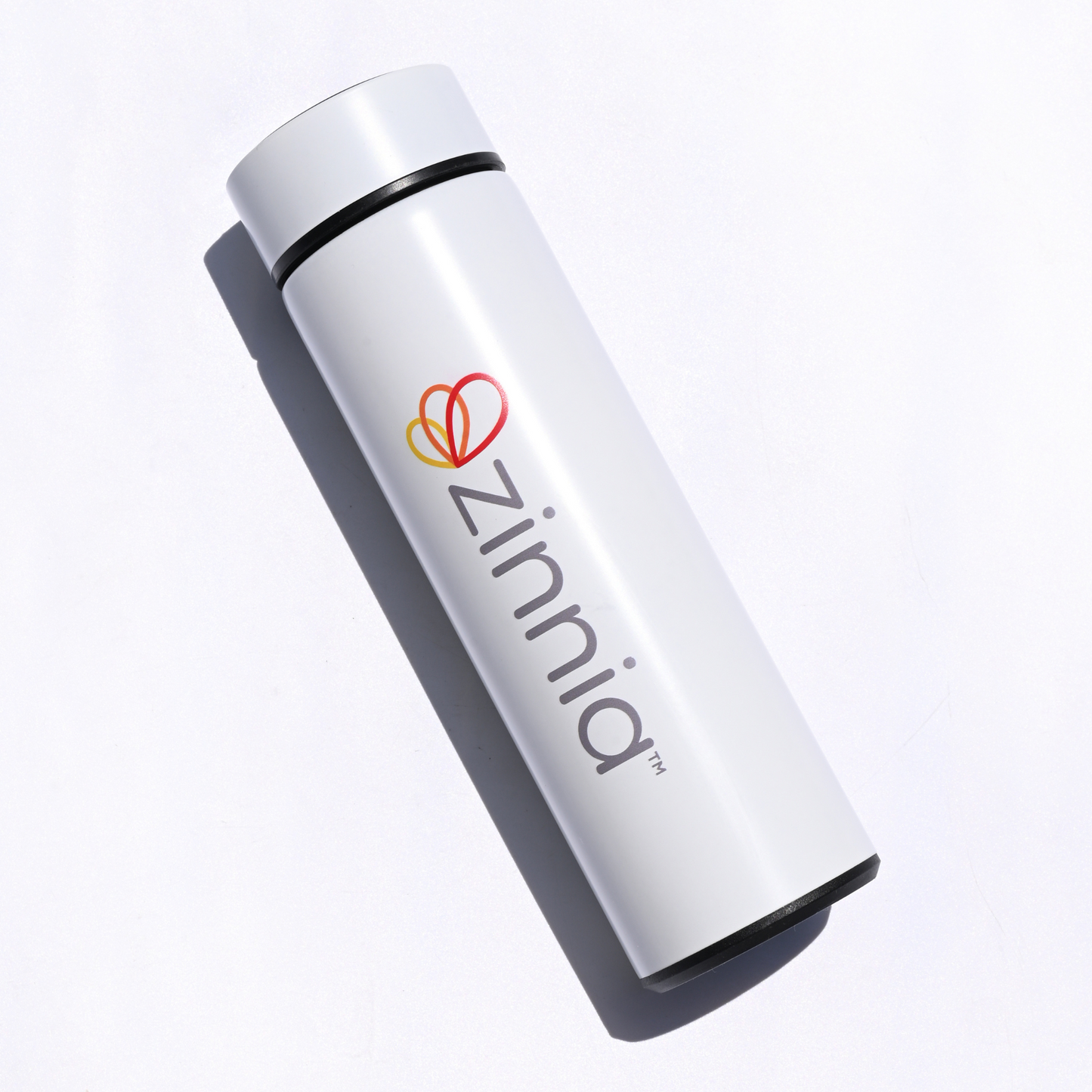 Insulated Water Bottle